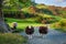 Curious sheeps on pasture at sunset in the Lake District, England