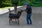 Curious sika deers and photographer