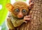 Curious Tarsier Clinging to Branch. Generative AI