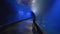 Curious tourist child walks in aquarium tunnel and explores beauty of sea and its inhabitants