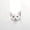 Curious White Cat Peeking Through Hole In Playful Character Design