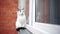 Curious white cat sitting on the windowsill and pry into window.