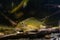 Curious young fish, Eurasian ruffe or pope, careful and frightful small freshwater omnivore watch attentively, European river