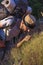 Curious young hispanic male hiker smelling grass