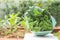 Curl leaf kale and Dinosaur kale or Brassica oleracea grown In the basket Background blurry tree in farm
