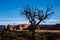 Curling branches of dead tree shadowed in front of side lit towers and cliffs of Monument Valley in Arizona