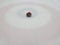 Curling stone on the button