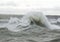 Curling Wave Spray at Newhaven Harbour