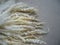 Curls of natural sheep wool for needlework, felting. Texture of fur. Natural wool.