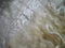 Curls of natural sheep wool for needlework, felting. Texture of fur. Natural wool.