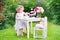 Curly adorable toddler girl playing tea party with doll