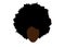Curly afro hair, portrait African Woman , dark skin female face with ethnic traditional curly hair afro, cartoon style, hair style