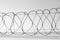 Curly barbed wire in black and white