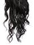 Curly Black Hair isolated in white