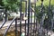 Curly black metal fence with padlocks. Brass locks in the shape of a heart.