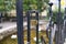 Curly black metal fence with padlocks. Brass locks in the shape of a heart.