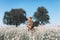 Curly blond guy is standing at the field and sniffs a flowers. Romantic, summer time. Flowers around and trees