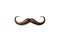 Curly brown mustache on a white background.