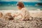 Curly child girl playing with stones on the beach