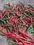 curly chili Freshly picked from the garden