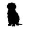 Curly Coated Retriever Silhouette Vector Found In Map Of Europe