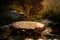 Curly, flat rock podium in natural environment, sunset light