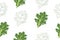 Curly kale, dark green leafy vegetable. Leaf cabbage vector illustration. Green leafy vegetables seamless. Healthy diet