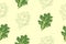 Curly kale, dark green leafy vegetable. Leaf cabbage vector illustration. Green leafy vegetables seamless. Healthy diet