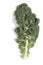 Curly leaf kale