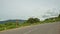 Curly Mountain Asphalt Road by Plants with Barriers