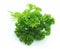 Curly parsley