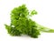 Curly parsley