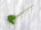 Curly parsley sprig on a marble cutting board