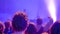 Curly teenage boy partying at rock concert in front of stage - back view