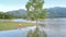 Curly tree reflection in lake girl sits on grass bank