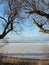 Curonian lagoon shore , winter. Lithuanian landscape