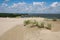 Curonian spit panorama