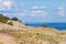 Curonian Spit summer landscape. Coastal dunes