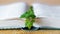 Currant branch on an open book, bookmark for a book