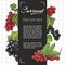 Currant fruit vector menu design templates. Vector fruit illustration with hand drawn doodles for greeting card, banner