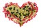 Currant vitamins heart concept isolated