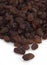 Currant, vitis vinifera apyrena, Black Corinth dried grape Fruits