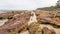 Currarong Rock Pools and Eroded Rocks