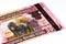 currency banknote of Africa