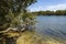 Currimundi Creek Flowing to the Ocean