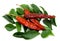 Curry leaves and dry red chilies