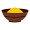 Curry spices icon isolated