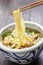 Curry udon, japanese noodles