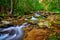 Curtis Creek near Curtis Creek Campground in the mountians of North Carolina