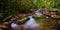 Curtis Creek near Curtis Creek Campground in the mountians of North Carolina